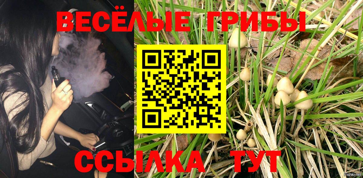 Галлюциногенные грибы GOLDEN TEACHER Сатка